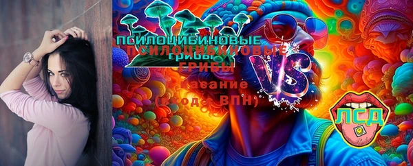 альфа пвп Бородино