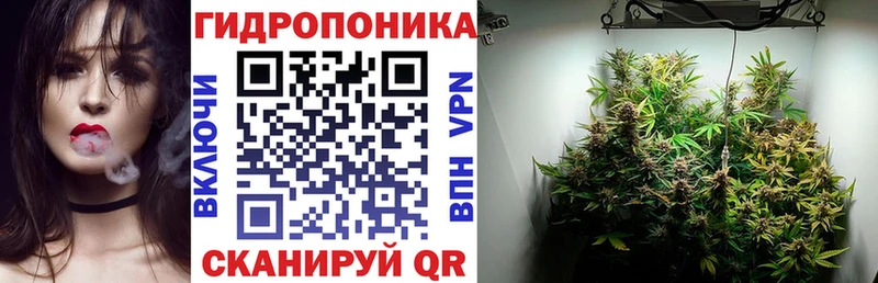 Бошки марихуана OG Kush Екатеринбург